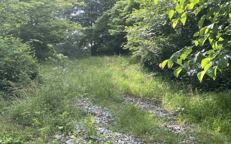 7337 Old Mill Road, Jane Lew, West Virginia 26378, ,Lots/land,For Sale,Old Mill,10163446