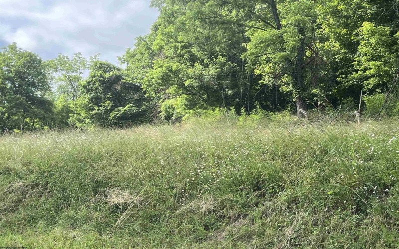 7337 Old Mill Road, Jane Lew, West Virginia 26378, ,Lots/land,For Sale,Old Mill,10163446