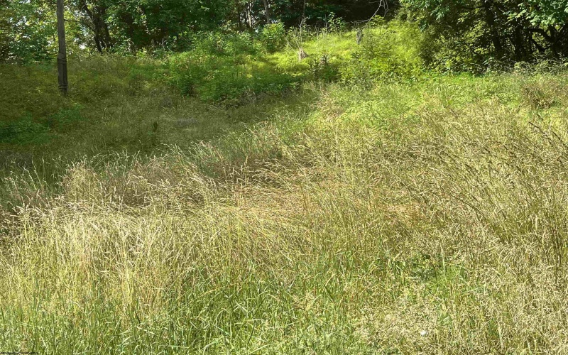 7337 Old Mill Road, Jane Lew, West Virginia 26378, ,Lots/land,For Sale,Old Mill,10163446