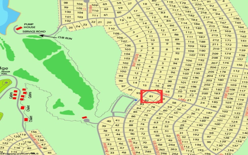 TBD 0 Alpine Drive, Terra Alta, West Virginia 26764, ,Lots/land,For Sale,Alpine,10163444
