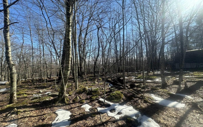 TBD 0 Alpine Drive, Terra Alta, West Virginia 26764, ,Lots/land,For Sale,Alpine,10163444