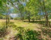 Lot 48 Hazelwood Drive, Bruceton Mills, West Virginia 26525, ,Lots/land,For Sale,Hazelwood,10163438