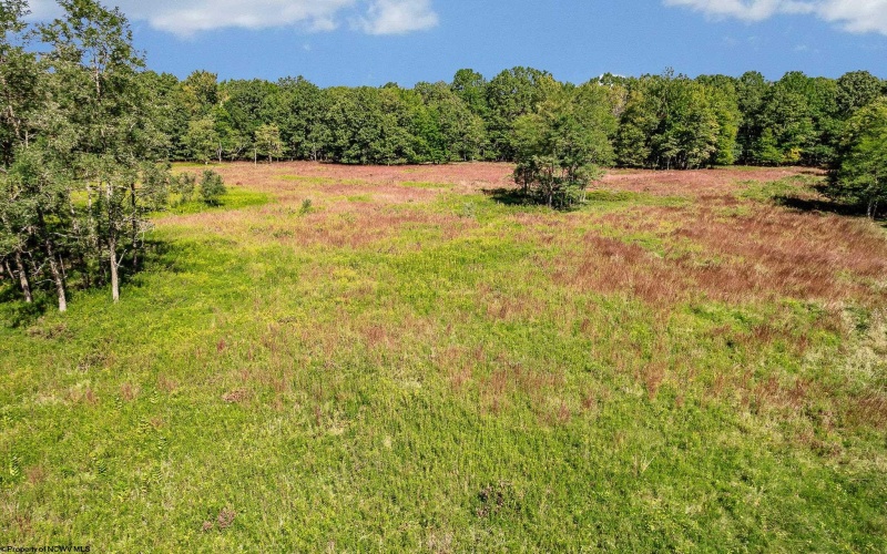 Lot 48 Hazelwood Drive, Bruceton Mills, West Virginia 26525, ,Lots/land,For Sale,Hazelwood,10163438