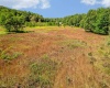 Lot 48 Hazelwood Drive, Bruceton Mills, West Virginia 26525, ,Lots/land,For Sale,Hazelwood,10163438