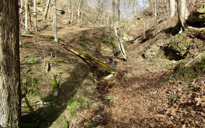 109 Dug Hill Road, Morgantown, West Virginia 26508, ,Lots/land,For Sale,Dug Hill,10163432 109 Dug Hill Road, Morgantown, West Virginia 26508, ,Lots/land,For Sale,Dug Hill,10163432