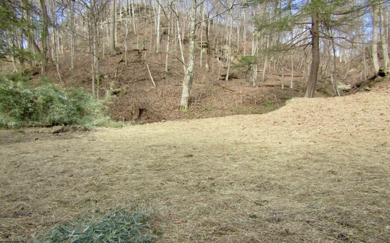 109 Dug Hill Road, Morgantown, West Virginia 26508, ,Lots/land,For Sale,Dug Hill,10163432 109 Dug Hill Road, Morgantown, West Virginia 26508, ,Lots/land,For Sale,Dug Hill,10163432