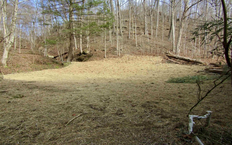 109 Dug Hill Road, Morgantown, West Virginia 26508, ,Lots/land,For Sale,Dug Hill,10163432 109 Dug Hill Road, Morgantown, West Virginia 26508, ,Lots/land,For Sale,Dug Hill,10163432