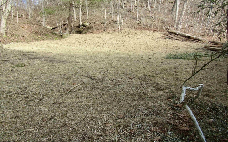 109 Dug Hill Road, Morgantown, West Virginia 26508, ,Lots/land,For Sale,Dug Hill,10163432 109 Dug Hill Road, Morgantown, West Virginia 26508, ,Lots/land,For Sale,Dug Hill,10163432