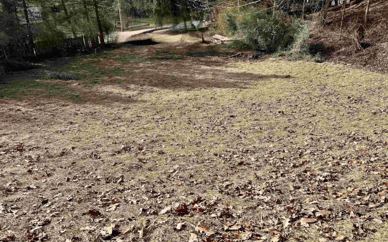 109 Dug Hill Road, Morgantown, West Virginia 26508, ,Lots/land,For Sale,Dug Hill,10163432 109 Dug Hill Road, Morgantown, West Virginia 26508, ,Lots/land,For Sale,Dug Hill,10163432