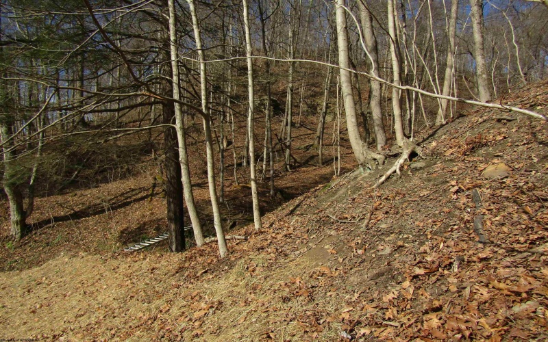 109 Dug Hill Road, Morgantown, West Virginia 26508, ,Lots/land,For Sale,Dug Hill,10163432 109 Dug Hill Road, Morgantown, West Virginia 26508, ,Lots/land,For Sale,Dug Hill,10163432