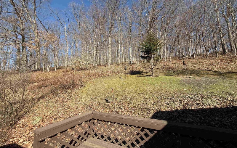 344 Harpertown Road, Elkins, West Virginia 26241, 4 Bedrooms Bedrooms, 8 Rooms Rooms,3 BathroomsBathrooms,Single Family Detached,For Sale,Harpertown,10163490