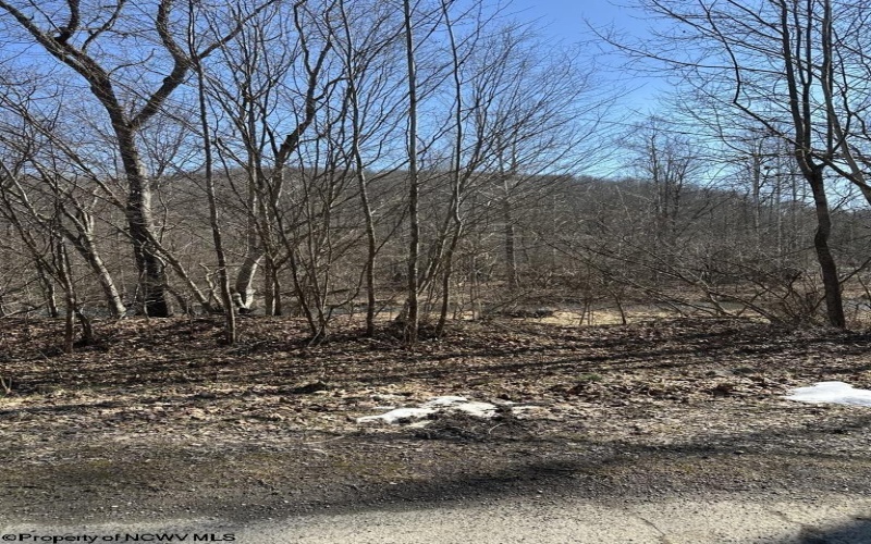 TBD Newlonton Road, Selbyville, West Virginia 26236, ,Lots/land,For Sale,Newlonton,10163502