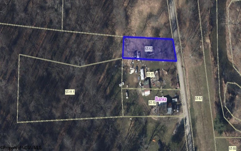 TBD Newlonton Road, Selbyville, West Virginia 26236, ,Lots/land,For Sale,Newlonton,10163502