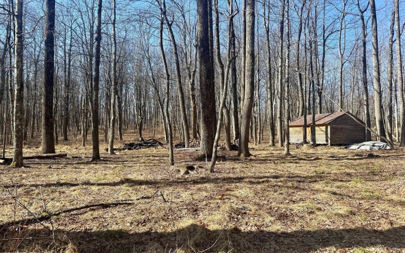 0 Ludwig Road, Grafton, West Virginia 26354, ,Lots/land,For Sale,Ludwig,10163505