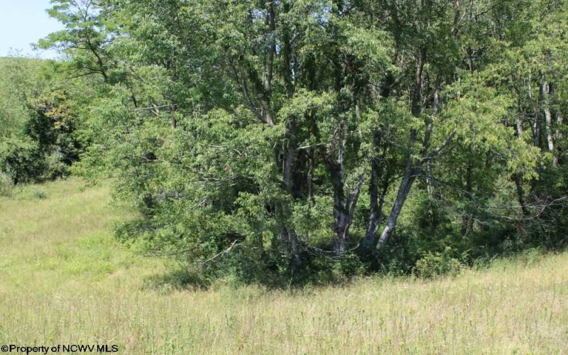 0 Ashburn Lane East, Buckhannon, West Virginia 26201, ,Lots/land,For Sale,Ashburn,10163507 0 Ashburn Lane East, Buckhannon, West Virginia 26201, ,Lots/land,For Sale,Ashburn,10163507