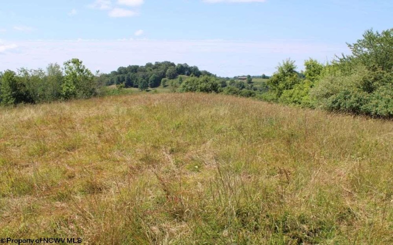 0 Ashburn Lane East, Buckhannon, West Virginia 26201, ,Lots/land,For Sale,Ashburn,10163507 0 Ashburn Lane East, Buckhannon, West Virginia 26201, ,Lots/land,For Sale,Ashburn,10163507