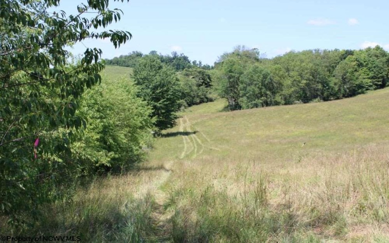 0 Ashburn Lane East, Buckhannon, West Virginia 26201, ,Lots/land,For Sale,Ashburn,10163507 0 Ashburn Lane East, Buckhannon, West Virginia 26201, ,Lots/land,For Sale,Ashburn,10163507