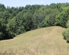0 Ashburn Lane East, Buckhannon, West Virginia 26201, ,Lots/land,For Sale,Ashburn,10163507 0 Ashburn Lane East, Buckhannon, West Virginia 26201, ,Lots/land,For Sale,Ashburn,10163507