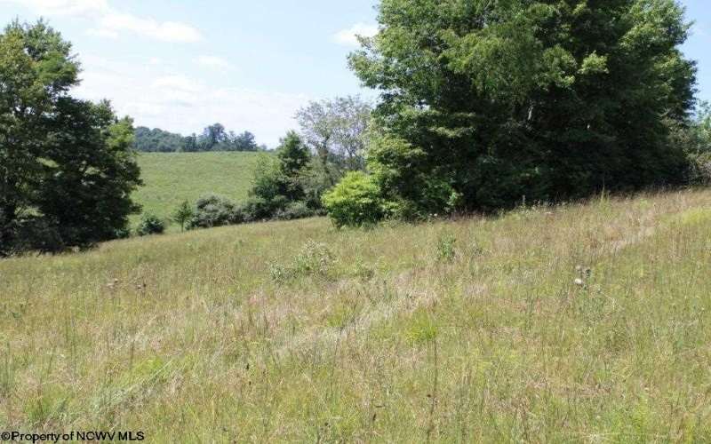 0 Ashburn Lane East, Buckhannon, West Virginia 26201, ,Lots/land,For Sale,Ashburn,10163507 0 Ashburn Lane East, Buckhannon, West Virginia 26201, ,Lots/land,For Sale,Ashburn,10163507