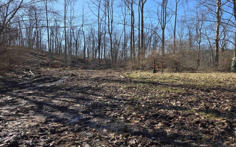 TBD Dutch Hollow Road, Weston, West Virginia 26452, ,Lots/land,For Sale,Dutch Hollow,10163516 TBD Dutch Hollow Road, Weston, West Virginia 26452, ,Lots/land,For Sale,Dutch Hollow,10163516