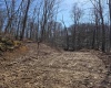 TBD Dutch Hollow Road, Weston, West Virginia 26452, ,Lots/land,For Sale,Dutch Hollow,10163516 TBD Dutch Hollow Road, Weston, West Virginia 26452, ,Lots/land,For Sale,Dutch Hollow,10163516