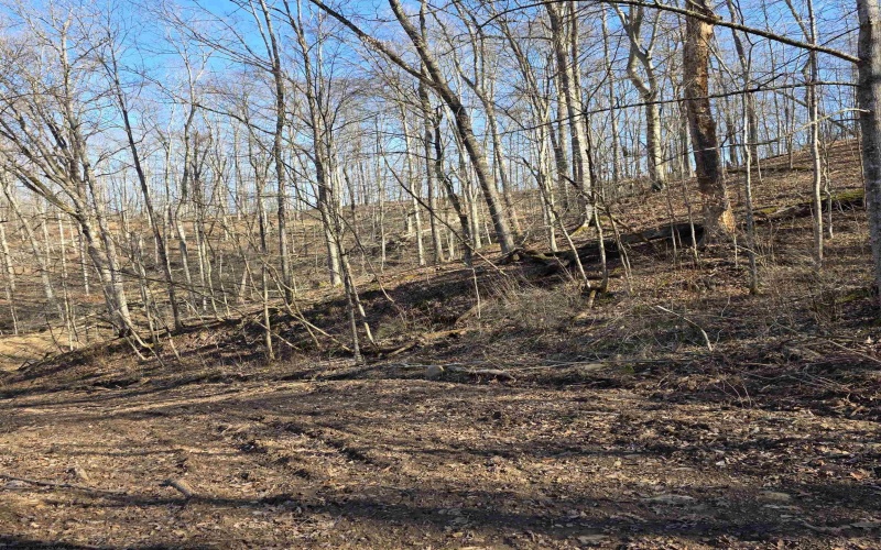 TBD Dutch Hollow Road, Weston, West Virginia 26452, ,Lots/land,For Sale,Dutch Hollow,10163516 TBD Dutch Hollow Road, Weston, West Virginia 26452, ,Lots/land,For Sale,Dutch Hollow,10163516