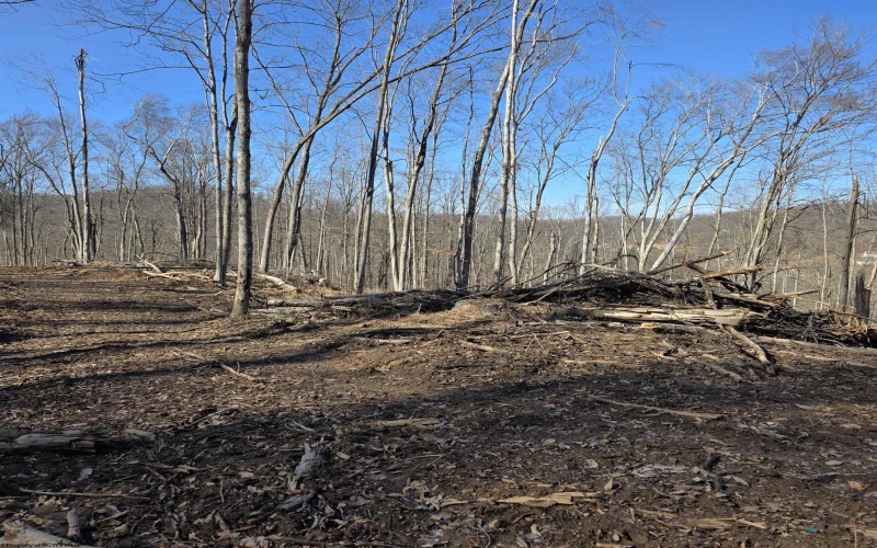 TBD Dutch Hollow Road, Weston, West Virginia 26452, ,Lots/land,For Sale,Dutch Hollow,10163516 TBD Dutch Hollow Road, Weston, West Virginia 26452, ,Lots/land,For Sale,Dutch Hollow,10163516