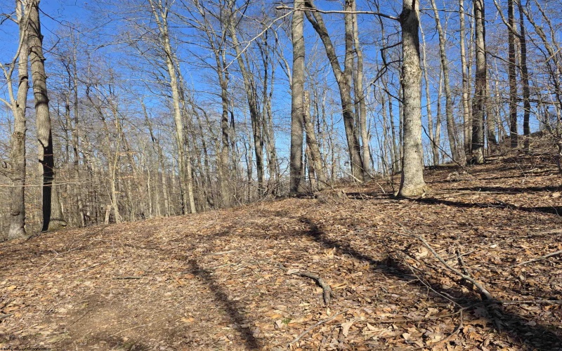 TBD Dutch Hollow Road, Weston, West Virginia 26452, ,Lots/land,For Sale,Dutch Hollow,10163516 TBD Dutch Hollow Road, Weston, West Virginia 26452, ,Lots/land,For Sale,Dutch Hollow,10163516