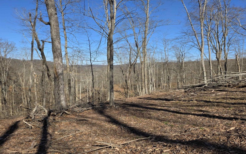 TBD Dutch Hollow Road, Weston, West Virginia 26452, ,Lots/land,For Sale,Dutch Hollow,10163516 TBD Dutch Hollow Road, Weston, West Virginia 26452, ,Lots/land,For Sale,Dutch Hollow,10163516