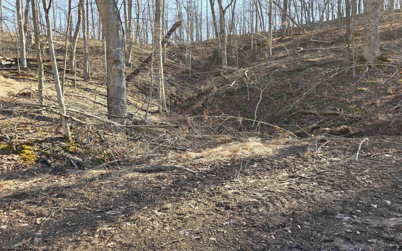 TBD Dutch Hollow Road, Weston, West Virginia 26452, ,Lots/land,For Sale,Dutch Hollow,10163516 TBD Dutch Hollow Road, Weston, West Virginia 26452, ,Lots/land,For Sale,Dutch Hollow,10163516