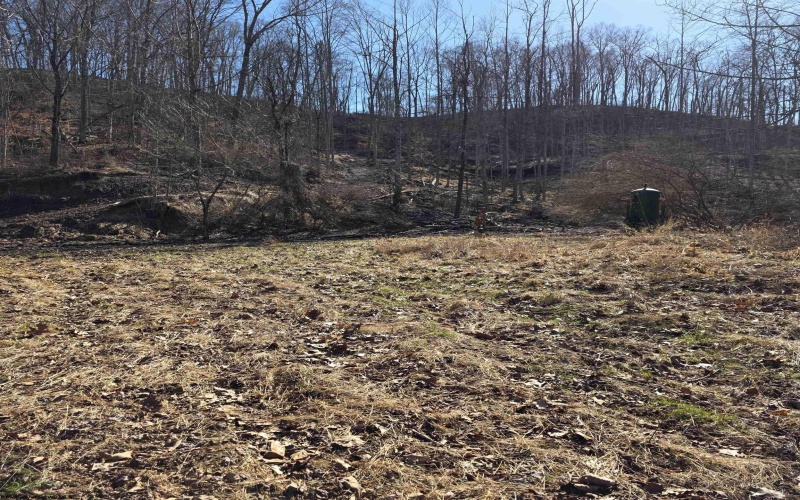 TBD Dutch Hollow Road, Weston, West Virginia 26452, ,Lots/land,For Sale,Dutch Hollow,10163516 TBD Dutch Hollow Road, Weston, West Virginia 26452, ,Lots/land,For Sale,Dutch Hollow,10163516