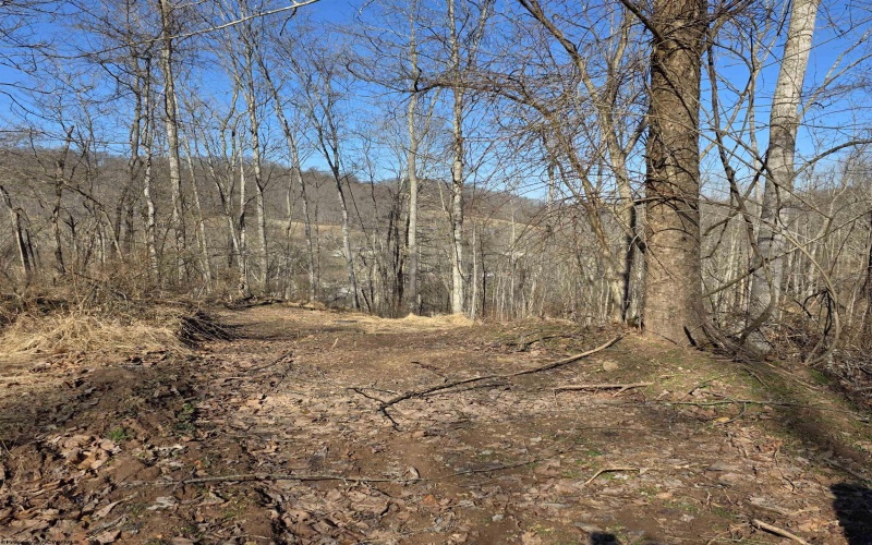 TBD Dutch Hollow Road, Weston, West Virginia 26452, ,Lots/land,For Sale,Dutch Hollow,10163516 TBD Dutch Hollow Road, Weston, West Virginia 26452, ,Lots/land,For Sale,Dutch Hollow,10163516