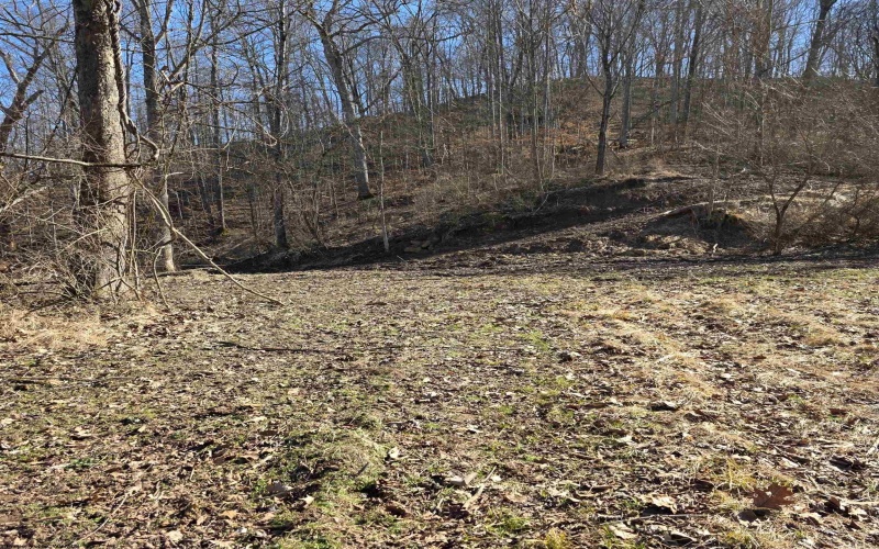 TBD Dutch Hollow Road, Weston, West Virginia 26452, ,Lots/land,For Sale,Dutch Hollow,10163516 TBD Dutch Hollow Road, Weston, West Virginia 26452, ,Lots/land,For Sale,Dutch Hollow,10163516