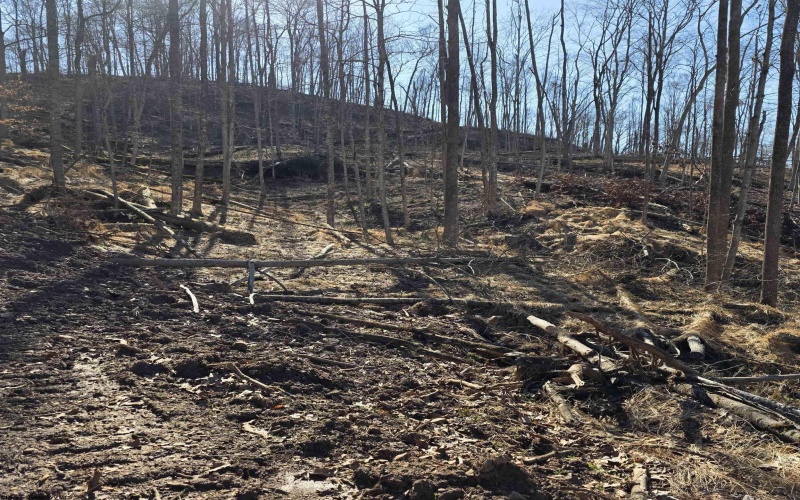 TBD Dutch Hollow Road, Weston, West Virginia 26452, ,Lots/land,For Sale,Dutch Hollow,10163516 TBD Dutch Hollow Road, Weston, West Virginia 26452, ,Lots/land,For Sale,Dutch Hollow,10163516