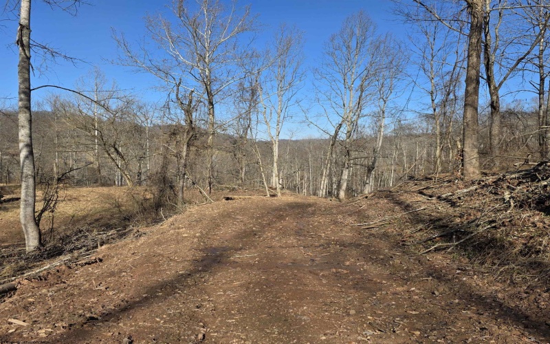 TBD Dutch Hollow Road, Weston, West Virginia 26452, ,Lots/land,For Sale,Dutch Hollow,10163516 TBD Dutch Hollow Road, Weston, West Virginia 26452, ,Lots/land,For Sale,Dutch Hollow,10163516