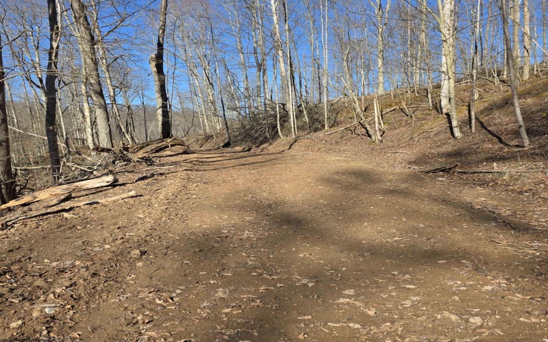 TBD Dutch Hollow Road, Weston, West Virginia 26452, ,Lots/land,For Sale,Dutch Hollow,10163516 TBD Dutch Hollow Road, Weston, West Virginia 26452, ,Lots/land,For Sale,Dutch Hollow,10163516