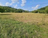 TBD Dutch Hollow Road, Weston, West Virginia 26452, ,Lots/land,For Sale,Dutch Hollow,10163516 TBD Dutch Hollow Road, Weston, West Virginia 26452, ,Lots/land,For Sale,Dutch Hollow,10163516