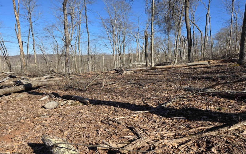 TBD Dutch Hollow Road, Weston, West Virginia 26452, ,Lots/land,For Sale,Dutch Hollow,10163516 TBD Dutch Hollow Road, Weston, West Virginia 26452, ,Lots/land,For Sale,Dutch Hollow,10163516