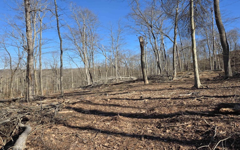 TBD Dutch Hollow Road, Weston, West Virginia 26452, ,Lots/land,For Sale,Dutch Hollow,10163516 TBD Dutch Hollow Road, Weston, West Virginia 26452, ,Lots/land,For Sale,Dutch Hollow,10163516