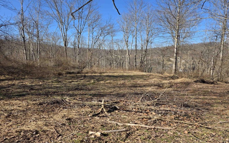 TBD Dutch Hollow Road, Weston, West Virginia 26452, ,Lots/land,For Sale,Dutch Hollow,10163516 TBD Dutch Hollow Road, Weston, West Virginia 26452, ,Lots/land,For Sale,Dutch Hollow,10163516