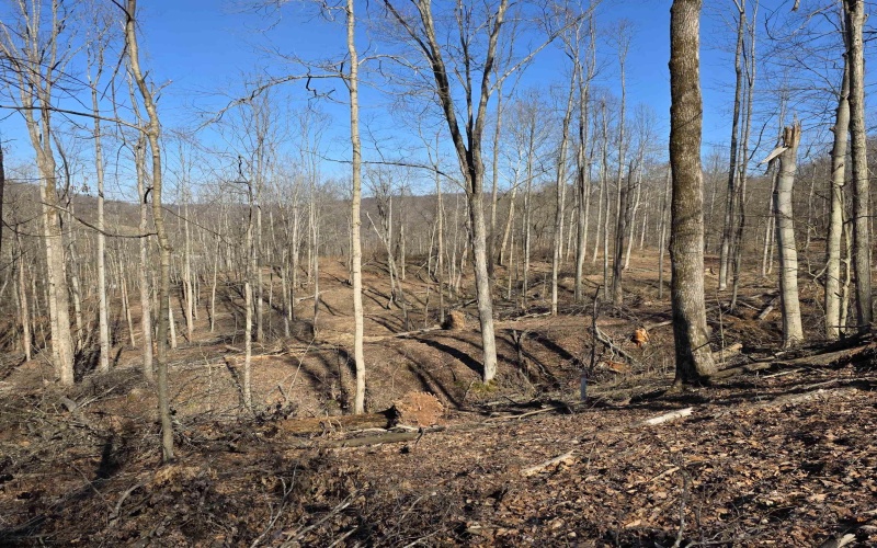 TBD Dutch Hollow Road, Weston, West Virginia 26452, ,Lots/land,For Sale,Dutch Hollow,10163516 TBD Dutch Hollow Road, Weston, West Virginia 26452, ,Lots/land,For Sale,Dutch Hollow,10163516