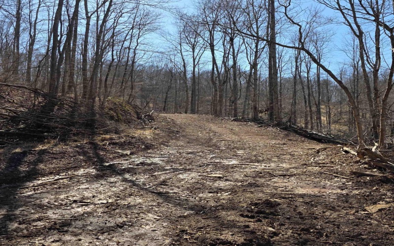 TBD Dutch Hollow Road, Weston, West Virginia 26452, ,Lots/land,For Sale,Dutch Hollow,10163516 TBD Dutch Hollow Road, Weston, West Virginia 26452, ,Lots/land,For Sale,Dutch Hollow,10163516