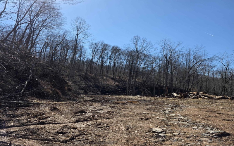 TBD Dutch Hollow Road, Weston, West Virginia 26452, ,Lots/land,For Sale,Dutch Hollow,10163516 TBD Dutch Hollow Road, Weston, West Virginia 26452, ,Lots/land,For Sale,Dutch Hollow,10163516