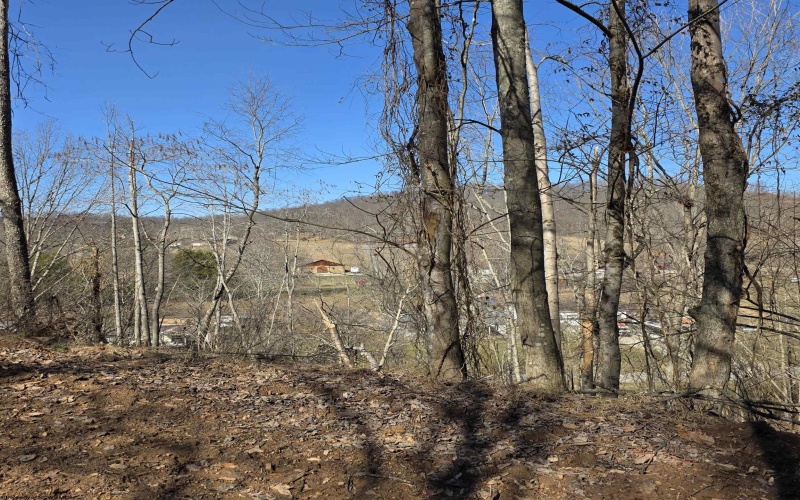TBD Dutch Hollow Road, Weston, West Virginia 26452, ,Lots/land,For Sale,Dutch Hollow,10163516 TBD Dutch Hollow Road, Weston, West Virginia 26452, ,Lots/land,For Sale,Dutch Hollow,10163516