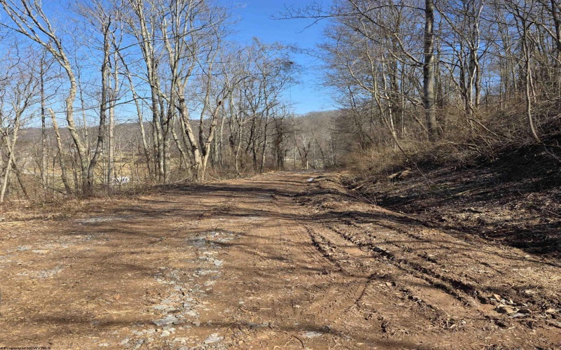 TBD Dutch Hollow Road, Weston, West Virginia 26452, ,Lots/land,For Sale,Dutch Hollow,10163516 TBD Dutch Hollow Road, Weston, West Virginia 26452, ,Lots/land,For Sale,Dutch Hollow,10163516