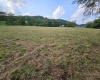 TBD Dutch Hollow Road, Weston, West Virginia 26452, ,Lots/land,For Sale,Dutch Hollow,10163516 TBD Dutch Hollow Road, Weston, West Virginia 26452, ,Lots/land,For Sale,Dutch Hollow,10163516