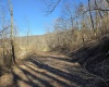 TBD Dutch Hollow Road, Weston, West Virginia 26452, ,Lots/land,For Sale,Dutch Hollow,10163516 TBD Dutch Hollow Road, Weston, West Virginia 26452, ,Lots/land,For Sale,Dutch Hollow,10163516