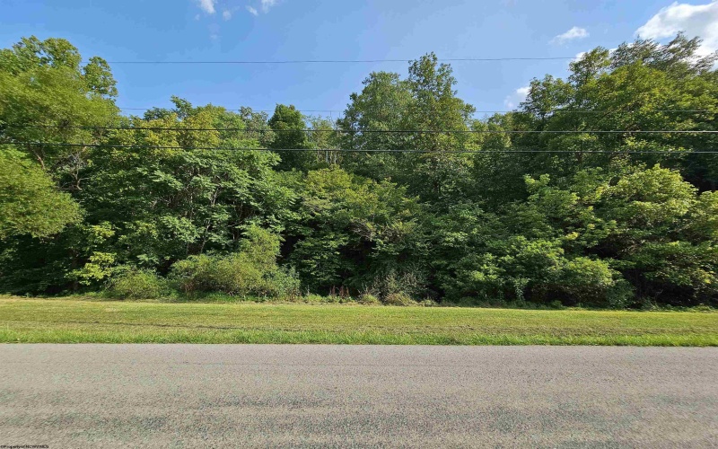 TBD Dutch Hollow Road, Weston, West Virginia 26452, ,Lots/land,For Sale,Dutch Hollow,10163516 TBD Dutch Hollow Road, Weston, West Virginia 26452, ,Lots/land,For Sale,Dutch Hollow,10163516