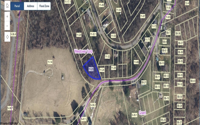 TBD Lockview Avenue, Westover, West Virginia 26501, ,Lots/land,For Sale,Lockview,10161056