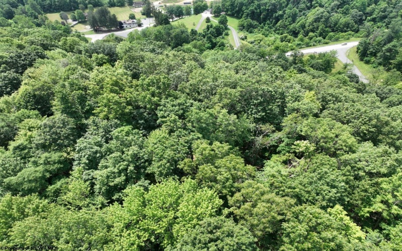 Lot 1 The Vale Road, Bridgeport, West Virginia 26330, ,Lots/land,For Sale,The Vale,10163522